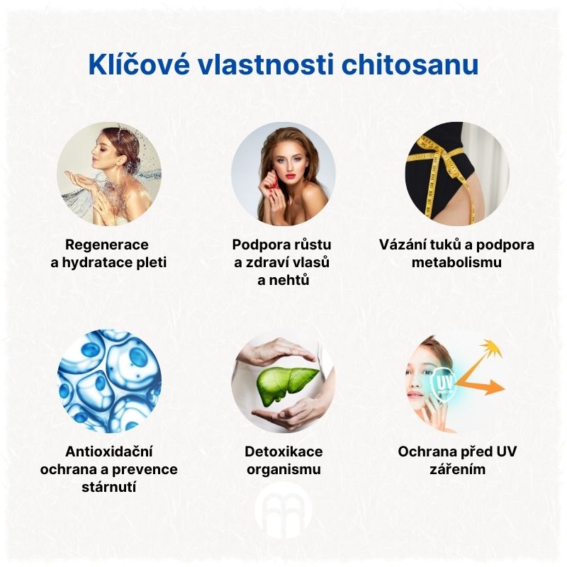 Klíčové vlastnosti chitosanu